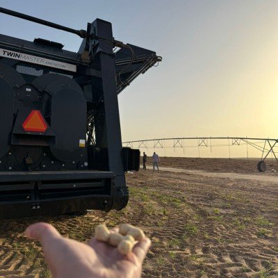 Indústrias Colombo: expansão e inovação no Deserto do Saara! 