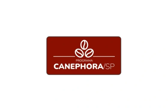 Programa Canephora SP na Mídia 