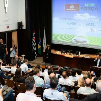 Programa Canephora SP irá fomentar a produção de café no estado de São Paulo
